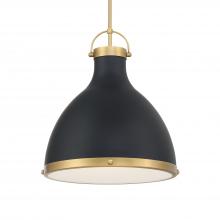 Minka-Lavery 3932-876 - 1 Light Pendant