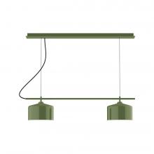 Montclair Light Works CHAX445-22-L12 - 3-Light Linear Axis LED Chandelier, Fern Green