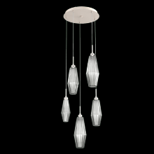 Hammerton  CHB0049-05-BS-RS-C01-L1 - Aalto Round 5pc Multi-Pendant