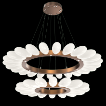 Hammerton  CHB0071-2T-BB-WL-CA1-L3 - Fiori Two-Tier Radial Ring