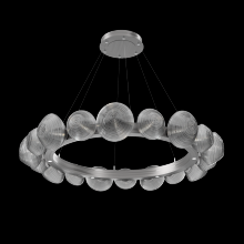 Hammerton  CHB0089-48-SN-S-CA1-L3 - Mesa Radial Ring - 48-Inch