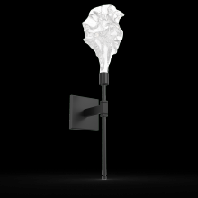 Hammerton  IDB0059-21-MB-BC-L3 - Blossom Belvedere Sconce