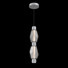 Hammerton  LAB0039-02-CS-S-CA1-L3 - Gem Mandrel Double Pendant