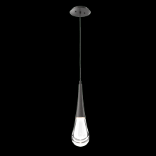 Hammerton  LAB0078-01-GP-C-C01-L1 - Raindrop Pendant