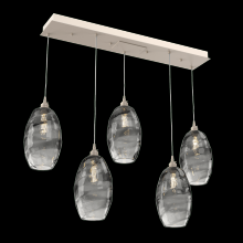 Hammerton  PLB0035-05-BS-OS-C01-E2 - Ellisse Linear 5pc Multi-Pendant