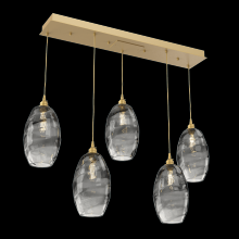 Hammerton  PLB0035-05-GB-OS-C01-E2 - Ellisse Linear 5pc Multi-Pendant