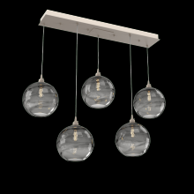 Hammerton  PLB0047-05-BS-OS-C01-E2 - Terra Linear 5pc Multi-Pendant