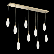 Hammerton  PLB0071-09-GB-WL-C01-L3 - Fiori Linear 9pc Multi-Pendant