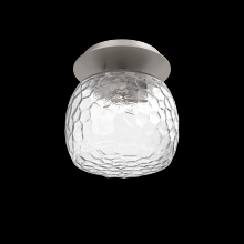 Hammerton  SMB0091-01-BS-C-L3 - Single Glass Sconce & Flush Mount - Vessel