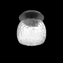 Hammerton  SMB0091-01-GP-C-L1 - Single Glass Sconce & Flush Mount - Vessel