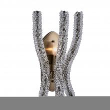 Kalco 525921BCG/CLR - CORAL CLEAR WALL SCONCE