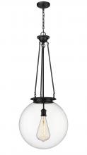 Innovations Lighting 221-1P-BK-G202-18 - Beacon - 1 Light - 18 inch - Matte Black - Chain Hung - Pendant