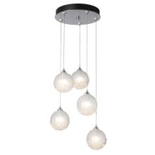 Hubbardton Forge 131131-SKT-STND-85-FD0750 - Fritz Globe 5-Light Pendant