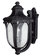 Hinkley 1314MB - Medium Wall Mount Lantern