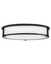 Hinkley 3244BK - Large Flush Mount